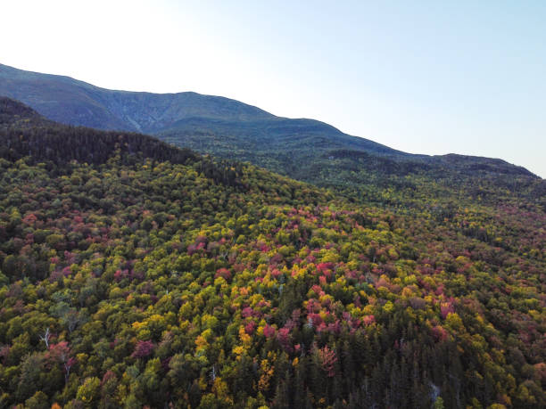 istock Drone aerial view ofautumn woodland with mountain backdrop 1275849982