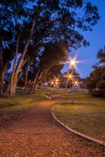 istock Streetlights illuminated along a winding small dirt path, running through a park filled with trees, Cape Town, South Africa 1275851481