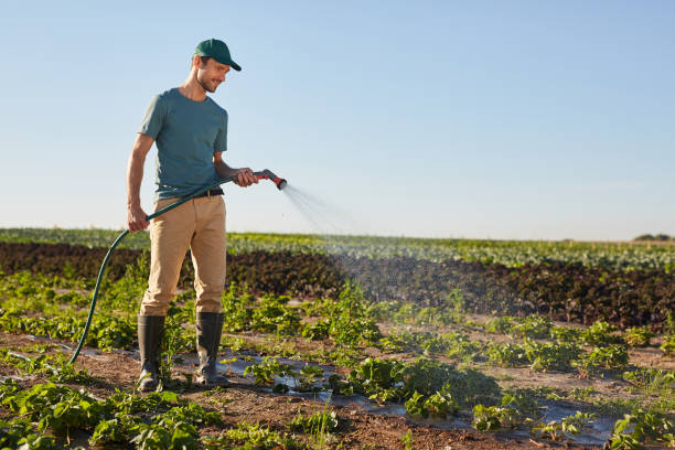 smiling young man watering plantation - watering place imagens e fotografias de stock