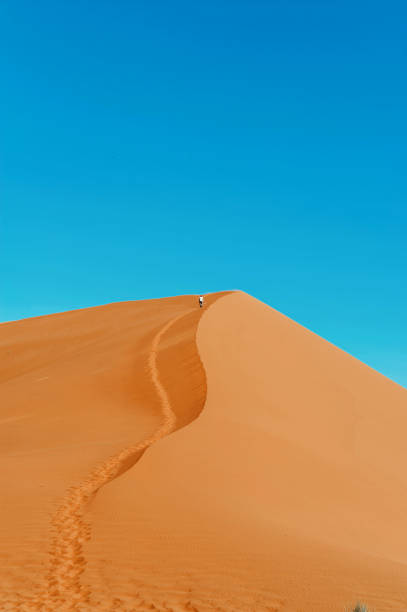 istock Sand dunes near Sossusvlei,Namibia 1275854283