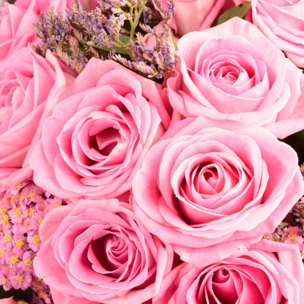 istock Square flowers background with pink roses bouquet 1275855333
