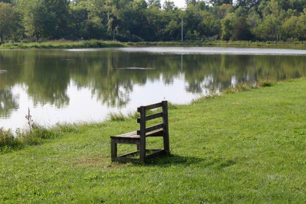 istock Wood Bench on the Lake Shore 1275855373