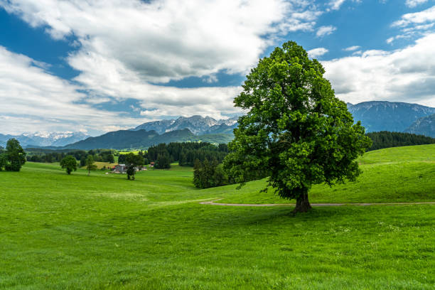 istock alps landscape panorama bavaria, germany 1275858180