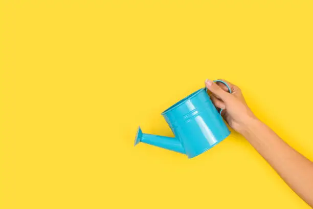 Woman hand holding a light blue watering can on a yellow background with copy space