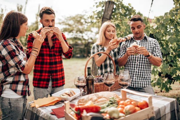 istock friends doing a picnic in the vineyard 1275864794