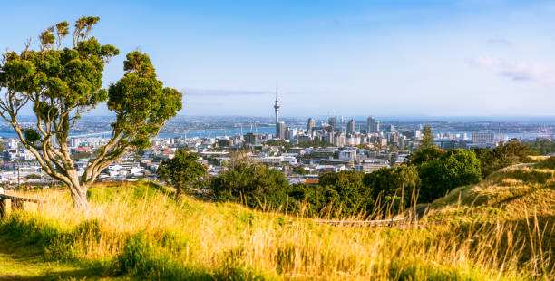 istock Auckland scenic 1275864960