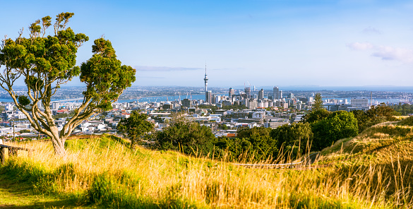 Auckland's sky tower and central cityscape from Mount Eden.