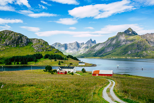 This image shows natural daytime view of Landscape of farm in lofoten island of norway  with wooden  houses and mountain and fjord in background.