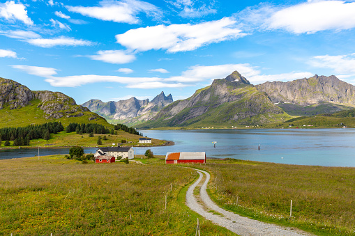 Small farm with red barn in the Norwegian countryside in lofoten island