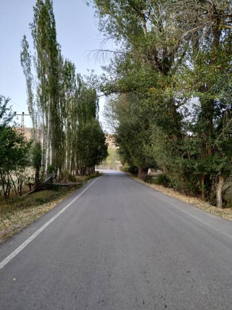istock Road to village 1275870102