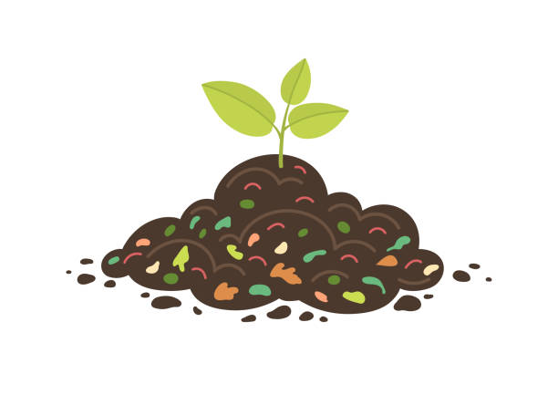 Green sprout growth from soil with worms and compost Green sprout growth from soil with worms and compost. Youn plant. Recycling, ecology and agriculture illustration. compost stock illustrations
