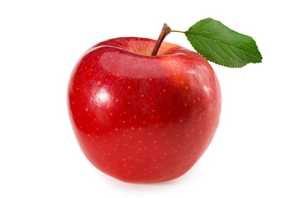 fresh apples from apple farm