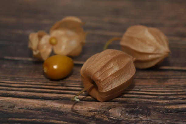 istock Physalis on a wooden background 1275872943