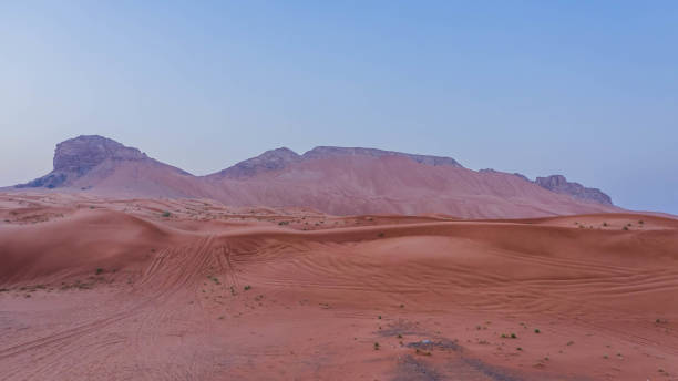 istock Meliha Desert Sand Dunes and Fossil Rocks 1275873088