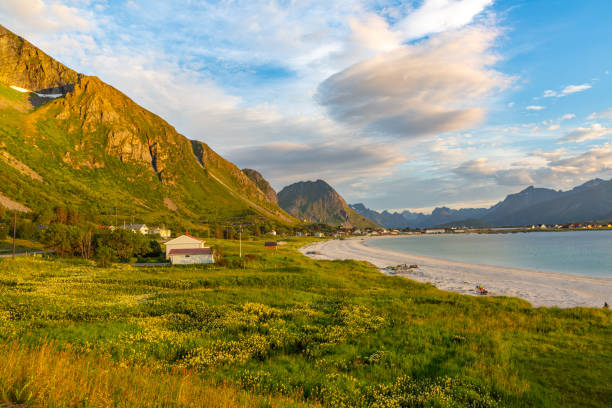 istock Ramberg beach in Lofoten in Norway 1275875962