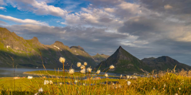 istock Beautiful Nature of Norway 1275876057