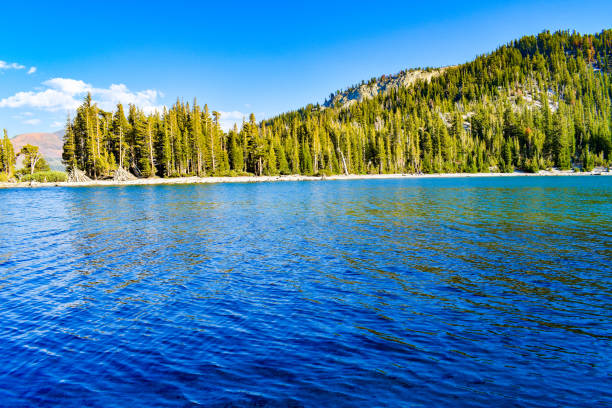 istock Exquisite bright blue alpine lake in forest 1275876145