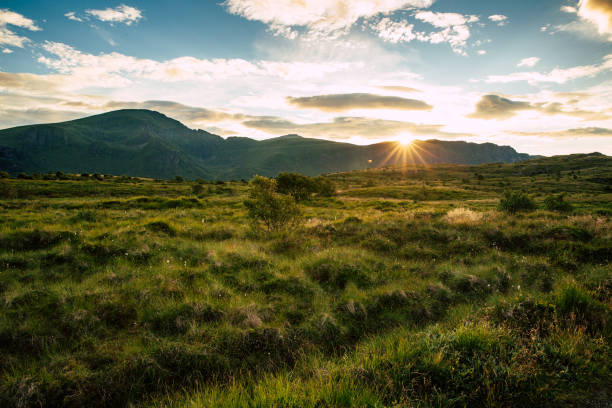 istock Panoramic view of colorful sunrise in mountains 1275877218