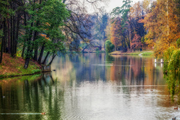 Idyllic  autumn in Tsaritsyno park . Orange autumn and ducks in water in Moscow