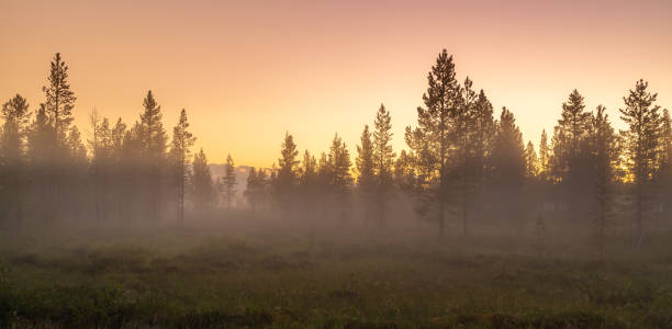 istock Panoramic view of colorful sunrise in mountains 1275879139