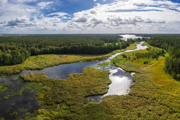 istock Dunezers lake at Lilaste, Latvia 1275880044
