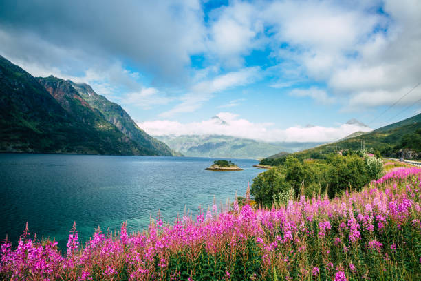 This image show beautiful landscape of Lofoten islands in Northern Norway