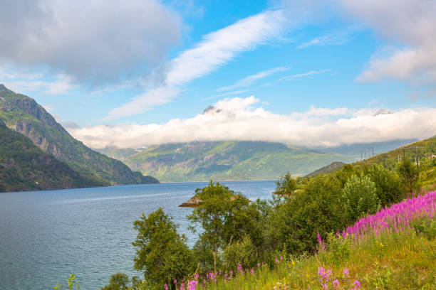 istock Songdal's Fjord in Norway 1275880343