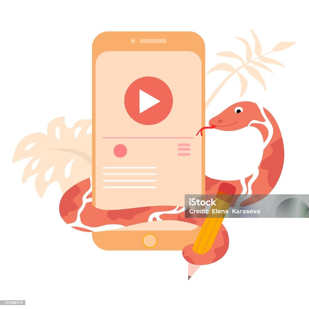 Python Code Language Sign Programming Coding And Developing Concept ...