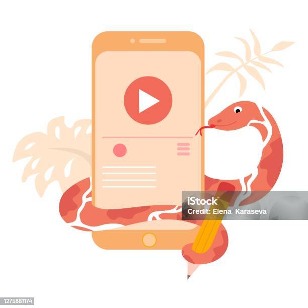 Python Code Language Sign Programming Coding And Developing Concept ...