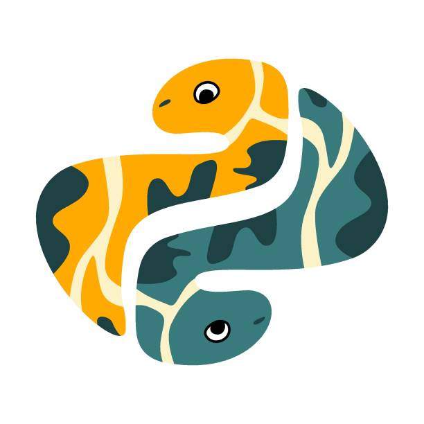 360+ Python Langage De Programmation Illustrations Stock Illustrations ...