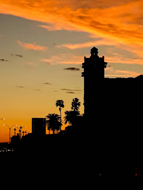 istock Urban Park Silhouette Sunset Scene, Montevideo, Uruguay 1275883758