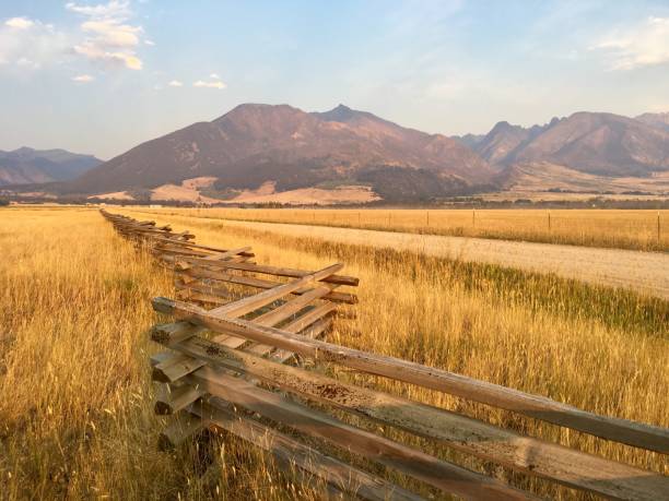 istock Dirt Road and fence in Montana 1275896877