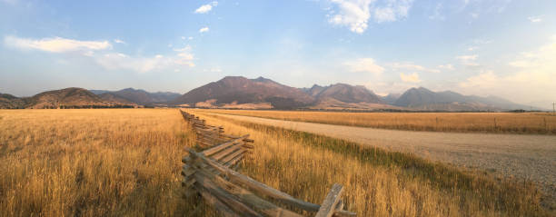 грязная дорога и забор в монтане - dry landscape panoramic grass стоковые фото и изображения