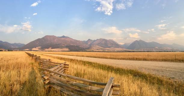 грязная дорога и забор в монтане - absaroka range стоковые фото и изображения