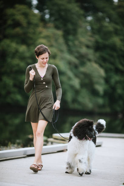 istock Young Woman Spending Quality Time With Her Dog Outside 1275897765