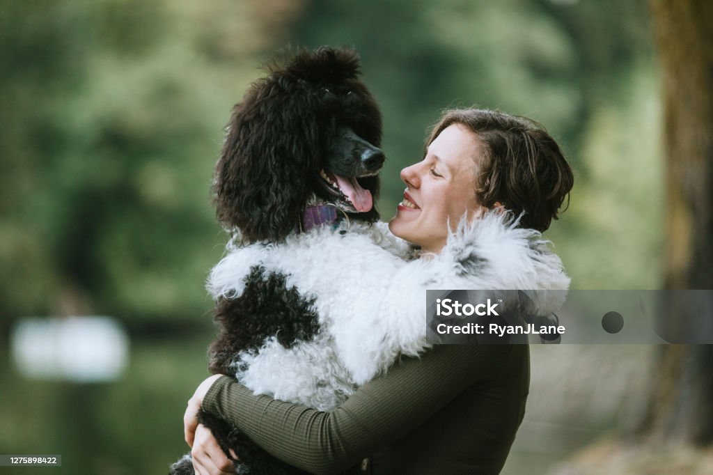 Young Woman Spending Quality Time With Her Dog Outside A Caucasian young adult woman with her standard poodle at a park, enjoying the company of her beloved pet.  She holds the large dog in a loving embrace.  Shot in Washington State, USA. Standard Poodle Stock Photo