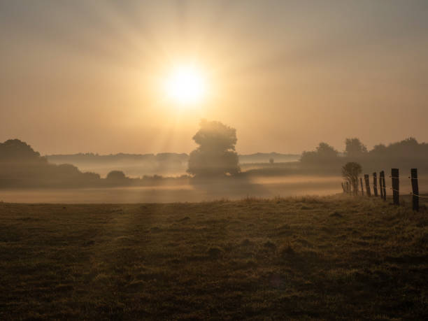 istock on  meadow morning fog rises in the sunrise 1275901470