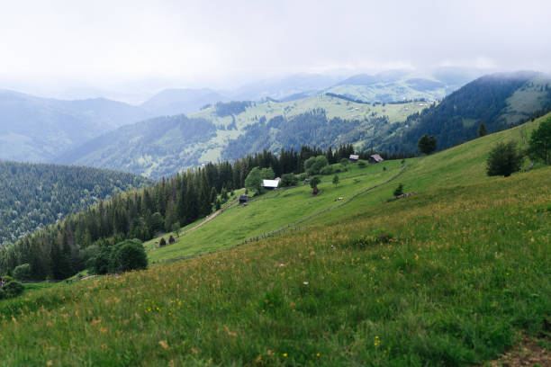 istock Mountains with green grass and house 1275910539