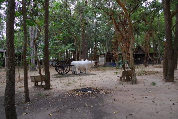 istock Wat Pa Maha Chedi Kaew in Sisaket 1275922523