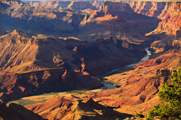 istock The Grand Canyon 1275925375