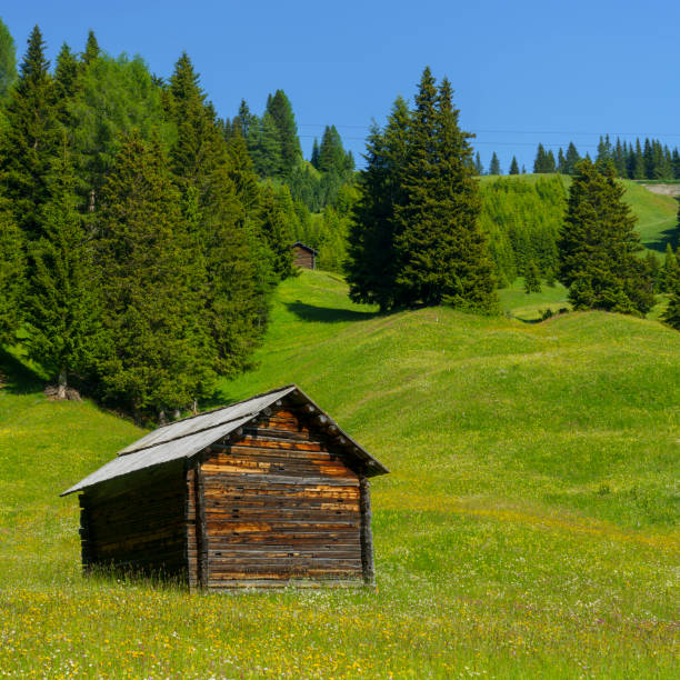 istock Mountain landscape along the road to Campolongo pass, Dolomites 1275926049