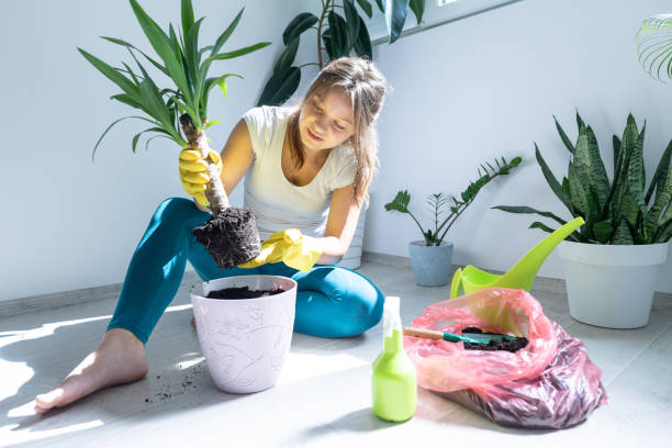 istock Young woman home gardening 1275928471