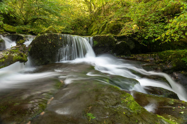 istock Watersmeet in Exmoor National Park 1275931229