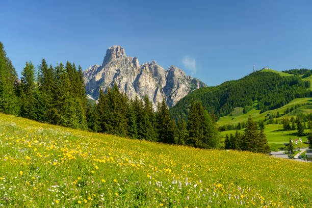 mountain landscape along the road to campolongo pass, dolomites - cordevole valley imagens e fotografias de stock