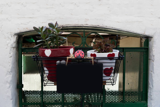 Jade tree and a begonia in a metallic basket hanging on a garden gate with a blank sign