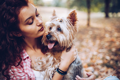 Beautiful young girl with her Yorkshire terrier dog puppy enjoying and playing in the autumn day, dog lover enjoying her free time with her female puppy dog.