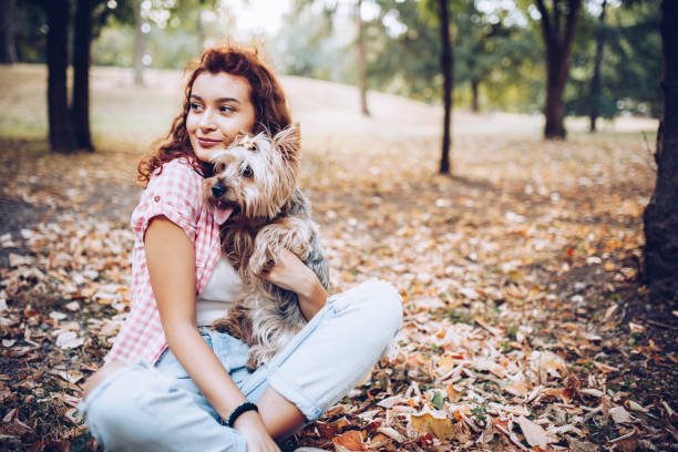 istock Beautiful young girl with her Yorkshire terrier dog 1275946995