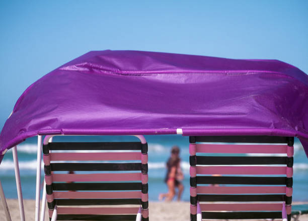 leżaki z parasolem na plaży - 12018 zdjęcia i obrazy z banku zdjęć