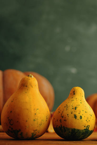 istock Two pumpkins of unusual shape on a green background. 1276033329