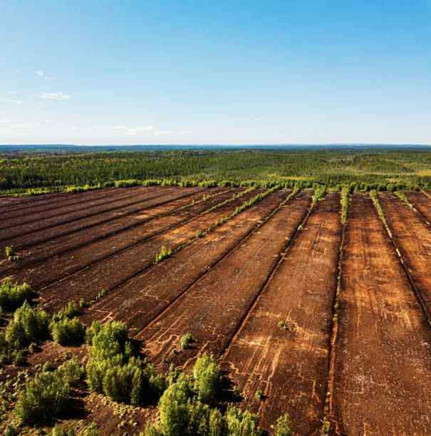 Peat Moss Farm Aerial drone view of an abandoned peat moss farm in dry Summer conditions. Peat stock pictures, royalty-free photos & images